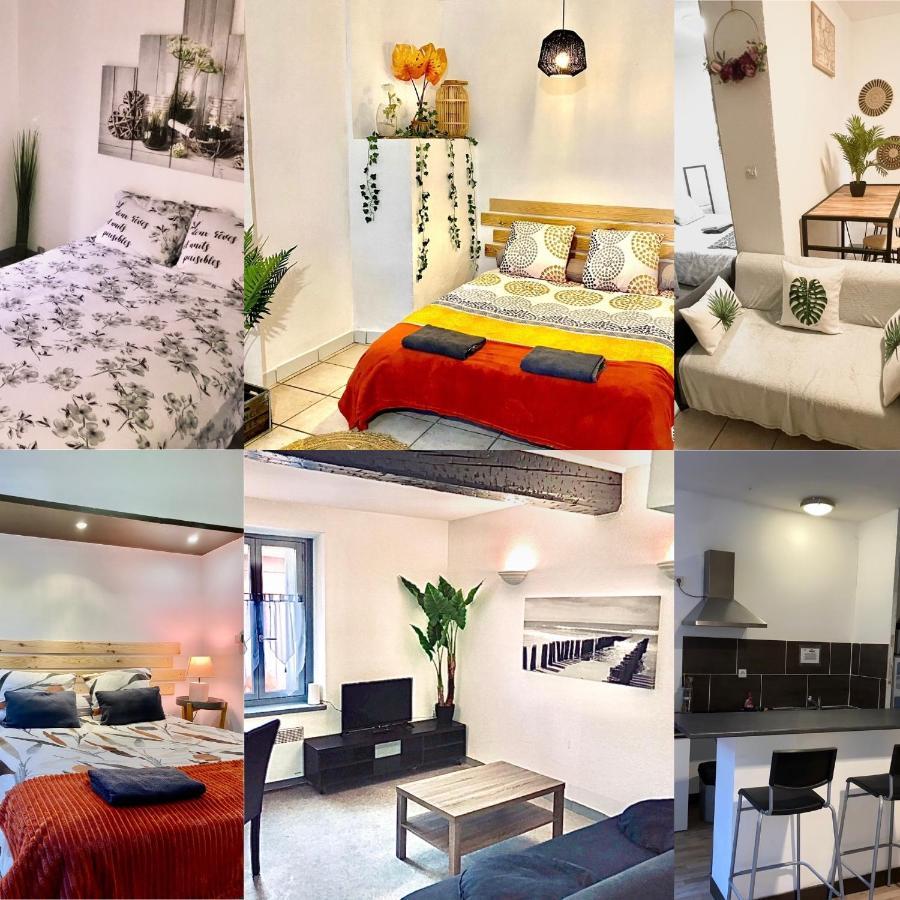 Appartements 24H 7J Carcassonne Dış mekan fotoğraf